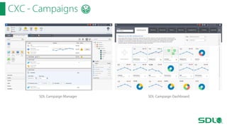 CXC - Campaigns

SDL Campaign Manager

SDL Campaign Dashboard

 