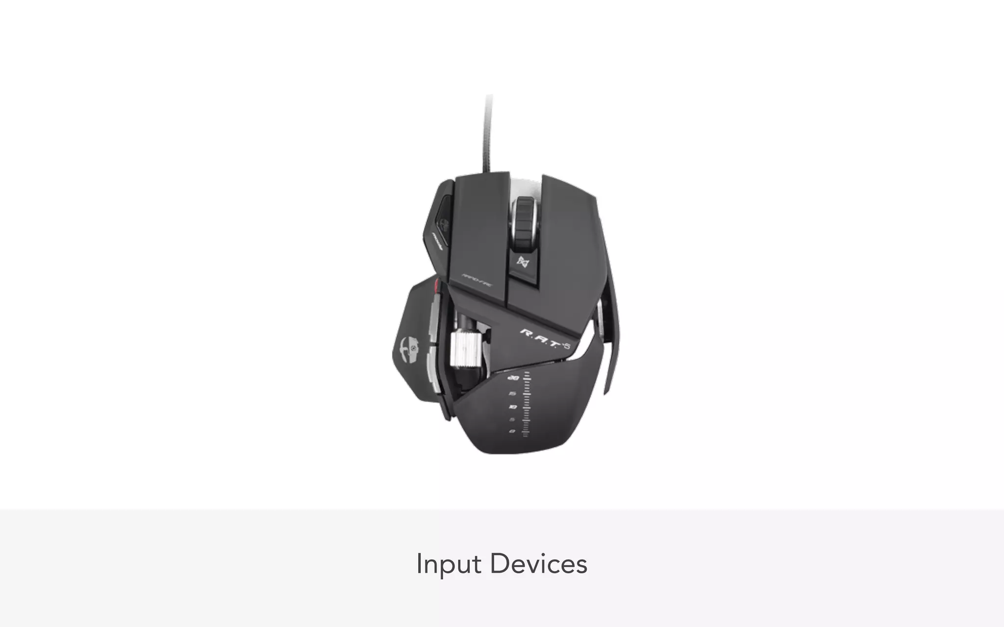 Input Devices
 