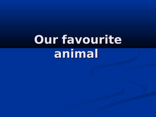 Our favourite
  animal
 