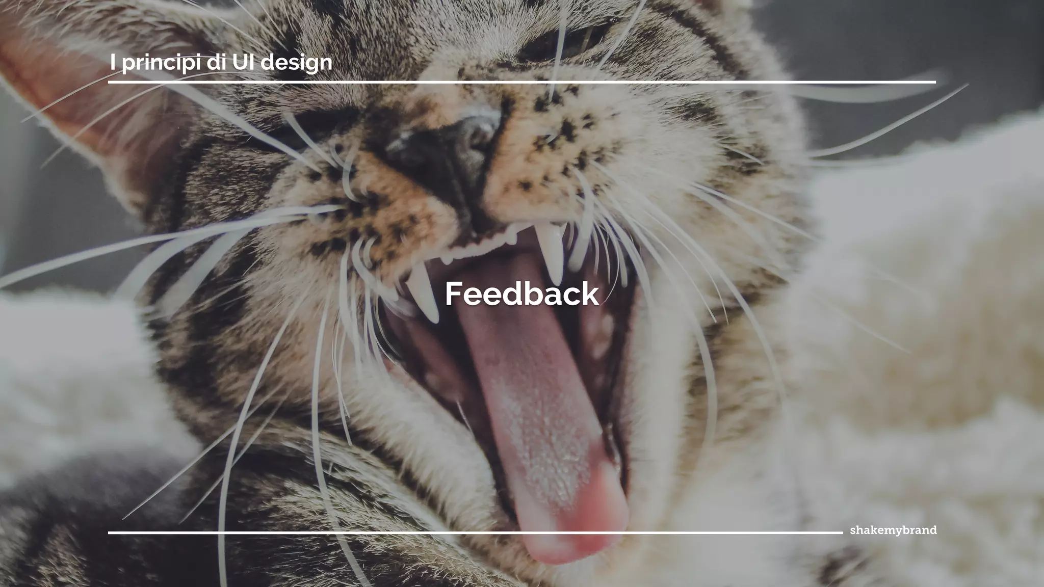 Feedback
I principi di UI design
 