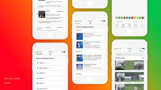 Levuro
PROJECT NAME:
 