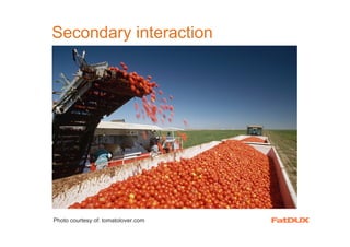 Secondary interaction




Photo courtesy of: tomatolover.com
 