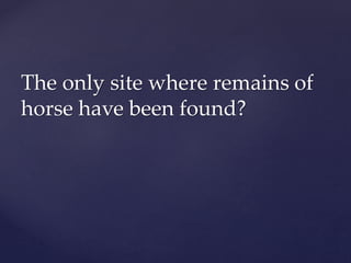 The only site where remains of
horse have been found?
 