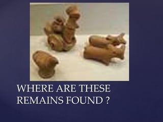 WHERE ARE THESE
REMAINS FOUND ?
 