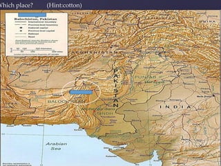 Which place? (Hint:cotton)
 