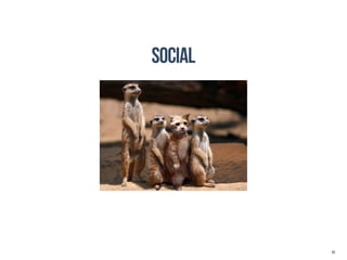 social




         81
 