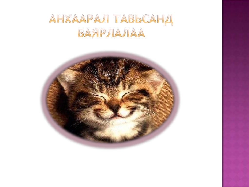 Дэлхийн 7 гайхамшиг