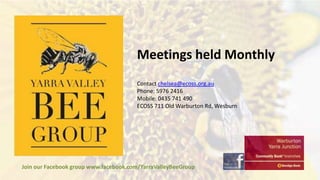 Meetings held Monthly
Contact chelsea@ecoss.org.au
Phone: 5976 2416
Mobile: 0435 741 490
ECOSS 711 Old Warburton Rd, Wesburn

Join our Facebook group www.facebook.com/YarraValleyBeeGroup

 