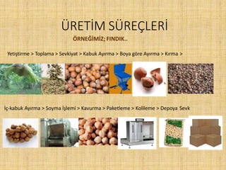 ÜRETİM SÜREÇLERİ
İç-kabuk Ayırma > Soyma İşlemi > Kavurma > Paketleme > Kolileme > Depoya Sevk
ÖRNEĞİMİZ; FINDIK..
Yetiştirme > Toplama > Sevkiyat > Kabuk Ayırma > Boya göre Ayırma > Kırma >
 