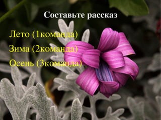 Назовите пожалуйста,какие это животные ? 