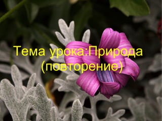 Тема урока:Природа  (повторение)  