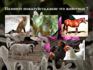 Выразить свои мысли 