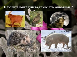 Ответы на вопросы 