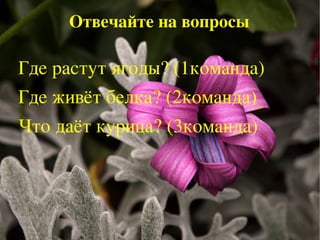 Задавать вопросы 