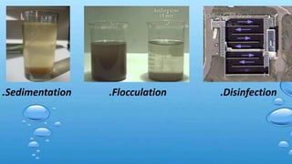 .Sedimentation .Flocculation .Disinfection
 