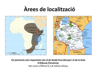Àrees de localització
Els jaciments més importants són el de Koobi Fora (Kenya) i el de la Gola
d'Olduvai (Tanzània).
Van viure a l’Àfrica fa 1,8 milions d’anys.
 