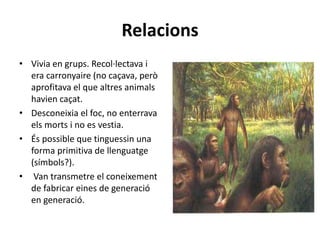 Relacions
• Vivia en grups. Recol·lectava i
era carronyaire (no caçava, però
aprofitava el que altres animals
havien caçat.
• Desconeixia el foc, no enterrava
els morts i no es vestia.
• És possible que tinguessin una
forma primitiva de llenguatge
(símbols?).
• Van transmetre el coneixement
de fabricar eines de generació
en generació.
 