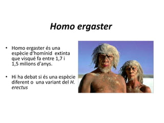 Homo ergaster
• Homo ergaster és una
espècie d‘homínid extinta
que visqué fa entre 1,7 i
1,5 milions d'anys.
• Hi ha debat si és una espècie
diferent o una variant del H.
erectus
 