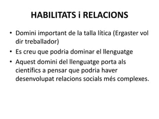 HABILITATS i RELACIONS
• Domini important de la talla lítica (Ergaster vol
dir treballador)
• Es creu que podria dominar el llenguatge
• Aquest domini del llenguatge porta als
científics a pensar que podria haver
desenvolupat relacions socials més complexes.
 