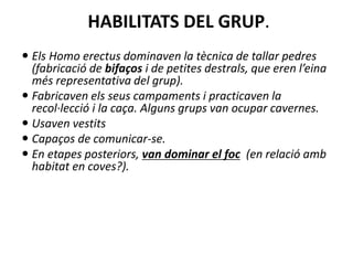 HABILITATS DEL GRUP.
 Els Homo erectus dominaven la tècnica de tallar pedres
(fabricació de bifaços i de petites destrals, que eren l’eina
més representativa del grup).
 Fabricaven els seus campaments i practicaven la
recol·lecció i la caça. Alguns grups van ocupar cavernes.
 Usaven vestits
 Capaços de comunicar-se.
 En etapes posteriors, van dominar el foc (en relació amb
habitat en coves?).
 