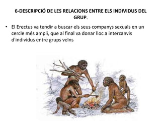6-DESCRIPCIÓ DE LES RELACIONS ENTRE ELS INDIVIDUS DEL
GRUP.
• El Erectus va tendir a buscar els seus companys sexuals en un
cercle més ampli, que al final va donar lloc a intercanvis
d'individus entre grups veïns
 