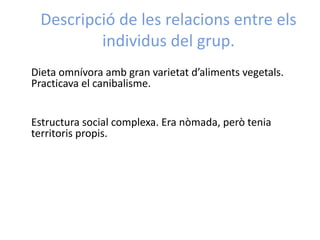 Descripció de les relacions entre els
individus del grup.
Dieta omnívora amb gran varietat d’aliments vegetals.
Practicava el canibalisme.
Estructura social complexa. Era nòmada, però tenia
territoris propis.
 