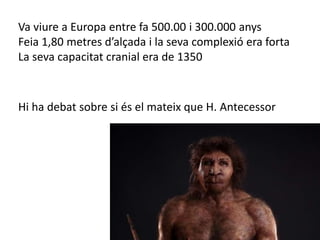 Va viure a Europa entre fa 500.00 i 300.000 anys
Feia 1,80 metres d’alçada i la seva complexió era forta
La seva capacitat cranial era de 1350
Hi ha debat sobre si és el mateix que H. Antecessor
 