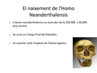 El naixement de l'Homo
Neanderthalensis
 L'Homo neanderthalensis va viure des de fa 250.000 a 30.000
anys enrere.
 Va viure en l'etapa final del Paleolític.
 Va coexistir amb l'espècie de l'homo Sapiens.
 