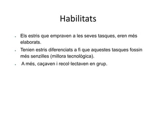Habilitats
 Els estris que empraven a les seves tasques, eren més
elaborats.
 Tenien estris diferenciats a fi que aquestes tasques fossin
més senzilles (millora tecnològica).
 A més, caçaven i recol·lectaven en grup.
 