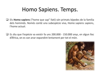 Homo Sapiens. Temps.
 Els Homo sapiens ("home que sap" llatí) són primats bípedes de la família
dels homínids. Només conté una subespècie viva, Homo sapiens sapiens,
l'home actual.
 Es diu que l’espècie va existir fa uns 200.000 - 150.000 anys, en algun lloc
d’Àfrica, on es van anar expandint lentament per tot el món.
 