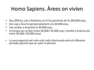 • Des d’Àfrica, van a Palestina on hi ha jaciments de fa 100.000 anys.
• Van cap a Àsia fa aproximadament uns 60.000 anys
• Van arribar a Austràlia fa 40.000 anys.
• A Europa van arribar entre 40.000 i 35.000 anys i també a Amèrica (fa
entre 30.000 i 20.000 anys).
• La seva expansió pel món està molt relacionada amb els diferents
períodes glacials que va patir el planeta.
Homo Sapiens. Àrees on vivíen
 