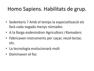 Homo Sapiens. Habilitats de grup.
• Sedentaris ? Amb el temps la especialització els
farà cada vegada menys nòmades
• A la llarga esdevindran Agricultors i Ramaders
• Fabricaven instruments per caçar, recol·lectar,
etc.
• La tecnologia evolucionarà molt
• Dominaven el foc
 