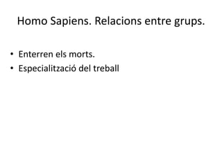 Homo Sapiens. Relacions entre grups.
• Enterren els morts.
• Especialització del treball
 
