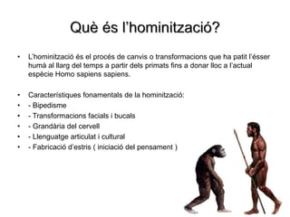 • L’hominització és el procés de canvis o transformacions que ha patit lʼésser
humà al llarg del temps a partir dels primats fins a donar lloc a l’actual
espècie Homo sapiens sapiens.
• Característiques fonamentals de la hominització:
• - Bipedisme
• - Transformacions facials i bucals
• - Grandària del cervell
• - Llenguatge articulat i cultural
• - Fabricació d’estris ( iniciació del pensament )
 