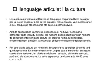 • Les espècies primitives utilitzaven el llenguatge corporal a l’hora de caçar
per tal de no espantar a les seves presses, més endavant van incorporar en
el seu llenguatge els sons amb els quals es comunicaven.
• Amb la capacitat de transmetre experiències i no haver de tornar a
començar cada individu de nou, els humans poden acumular gran nombre
de coneixements: s'inicia la cultura i el progrés humà. El llenguatge,
fonamentalment simbòlic, va estimular el desenvolupament del pensament.
• Pel que fa a la cultura del homínids, l'escriptura va aparèixer poc més tard
que l'agricultura. Els enterraments eren un pas cap al més enllà, en alguns
casos els enterraven, en altres els deixaven assecar, els incineraven,etc.
però cap els abandonava. La seva esperança de vida era de 40-50 anys
com a molt.
 