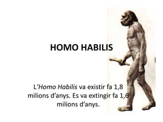 HOMO HABILIS
L’Homo Habilis va existir fa 1,8
milions d’anys. Es va extingir fa 1,6
milions d’anys.
 
