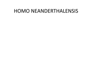 HOMO NEANDERTHALENSIS
 