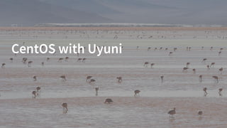 CentOS with Uyuni
 
