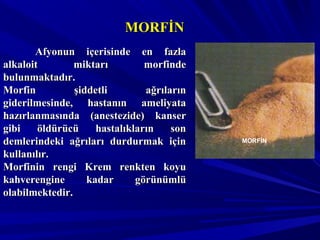 MORFİN
MORFİNMORFİN
Afyonun içerisinde en fazlaAfyonun içerisinde en fazla
alkaloit miktarı morfindealkaloit miktarı morfinde
bulunmaktadır.bulunmaktadır.
Morfin şiddetli ağrılarınMorfin şiddetli ağrıların
giderilmesinde, hastanın ameliyatagiderilmesinde, hastanın ameliyata
hazırlanmasında (anestezide) kanserhazırlanmasında (anestezide) kanser
gibi öldürücü hastalıkların songibi öldürücü hastalıkların son
demlerindeki ağrıları durdurmak içindemlerindeki ağrıları durdurmak için
kullanılır.kullanılır.
Morfinin rengi Krem renkten koyuMorfinin rengi Krem renkten koyu
kahverengine kadar görünümlükahverengine kadar görünümlü
olabilmektedir.olabilmektedir.
 