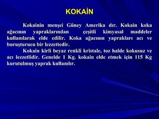 KOKAİNKOKAİN
Kokainin menşei Güney Amerika dır. Kokain kokaKokainin menşei Güney Amerika dır. Kokain koka
ağacının yapraklarından çeşitli kimyasal maddelerağacının yapraklarından çeşitli kimyasal maddeler
kullanılarak elde edilir. Koka ağacının yaprakları acı vekullanılarak elde edilir. Koka ağacının yaprakları acı ve
buruşturucu bir lezzettedir.buruşturucu bir lezzettedir.
Kokain kirli beyaz renkli kristale, toz halde kokusuz veKokain kirli beyaz renkli kristale, toz halde kokusuz ve
acı lezzetlidir. Genelde 1 Kg. kokain elde etmek için 115 Kgacı lezzetlidir. Genelde 1 Kg. kokain elde etmek için 115 Kg
kurutulmuş yaprak kullanılır.kurutulmuş yaprak kullanılır.
 
