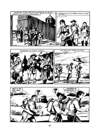 U S P - ZG - OP - VEC 010