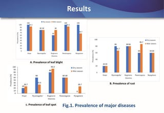 Emerging disease challenges to sustainable production of Brachiaria grass in Rwanda