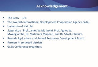 Emerging disease challenges to sustainable production of Brachiaria grass in Rwanda