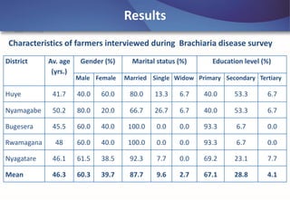 Emerging disease challenges to sustainable production of Brachiaria grass in Rwanda