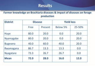 Emerging disease challenges to sustainable production of Brachiaria grass in Rwanda