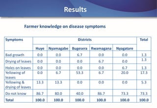 Emerging disease challenges to sustainable production of Brachiaria grass in Rwanda