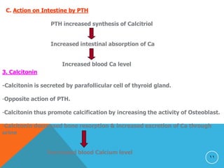 11
C. Action on Intestine by PTH
PTH increased synthesis of Calcitriol
Increased intestinal absorption of Ca
Increased blood Ca level
3. Calcitonin
-Calcitonin is secreted by parafollicular cell of thyroid gland.
-Opposite action of PTH.
-Calcitonin thus promote calcification by increasing the activity of Osteoblast.
-Calcitonin decreased bone resorption & increased excretion of Ca through
urine
Decreased blood Calcium level
 