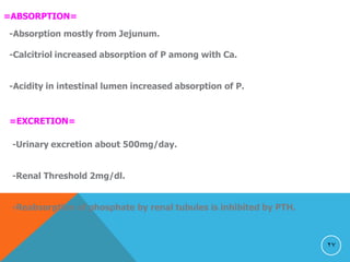 27
=ABSORPTION=
-Absorption mostly from Jejunum.
-Calcitriol increased absorption of P among with Ca.
-Acidity in intestinal lumen increased absorption of P.
=EXCRETION=
-Urinary excretion about 500mg/day.
-Renal Threshold 2mg/dl.
-Reabsorption of phosphate by renal tubules is inhibited by PTH.
 