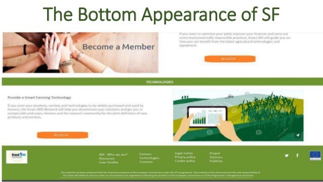 The Bottom Appearance of SF
 