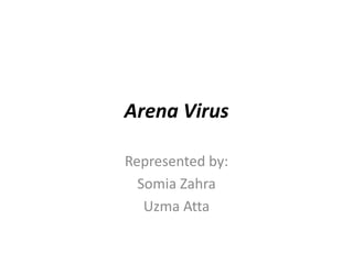 Arena Virus
Represented by:
Somia Zahra
Uzma Atta
 